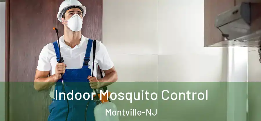 Indoor Mosquito Control Montville-NJ