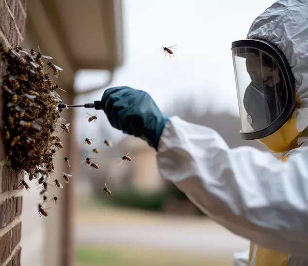 Your Bee Removal Company in Montville, NJ