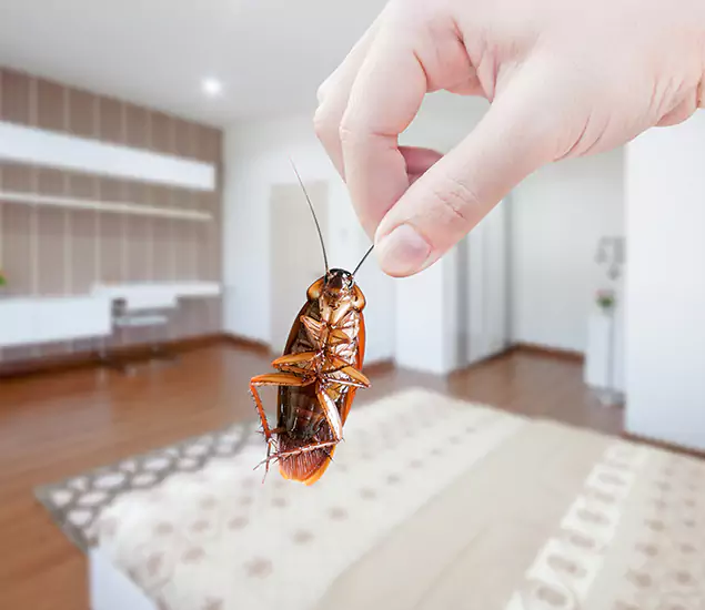 Your Cockroach Control Services in Montville, NJ