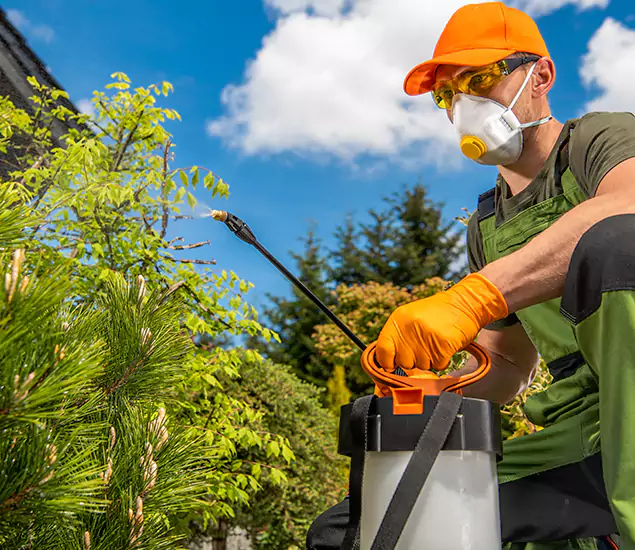 Your Best Bug Spray for Home Team in Montville, NJ