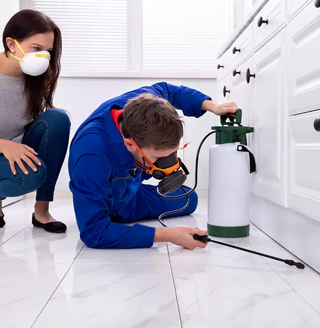 Why Montville, NJ Homeowners Trust Montville Pest Control Pro for Roach Control?