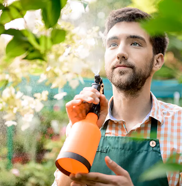 Why Montville Homeowners Call Montville Pest Control Pro for Mosquitoes in House?