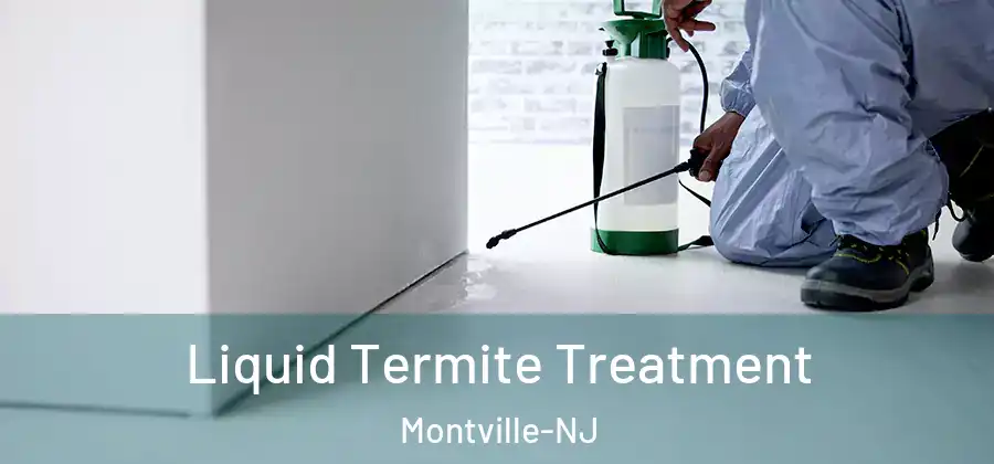  Liquid Termite Treatment Montville-NJ
