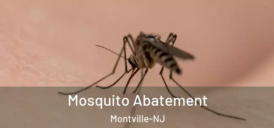  Mosquito Abatement Montville-NJ