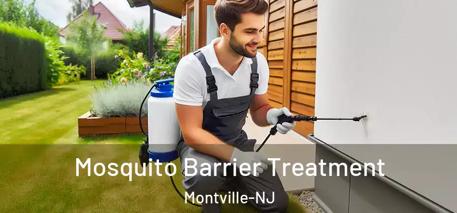 Mosquito Barrier Treatment Montville-NJ