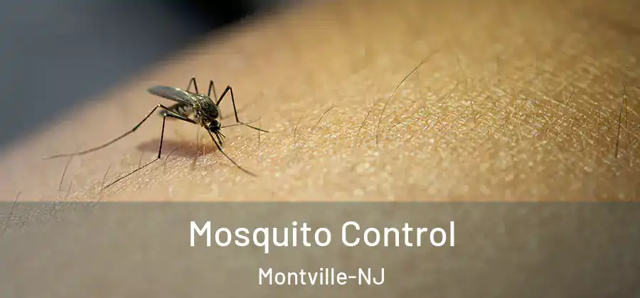 Mosquito Control Montville-NJ