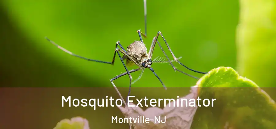Mosquito Exterminator Montville-NJ