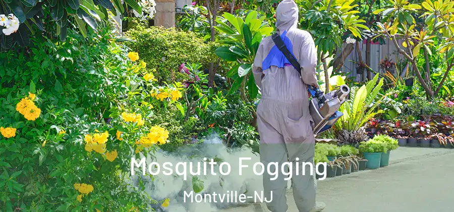 Mosquito Fogging Montville-NJ