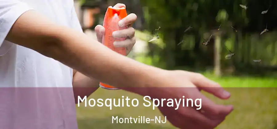 Mosquito Spraying Montville-NJ