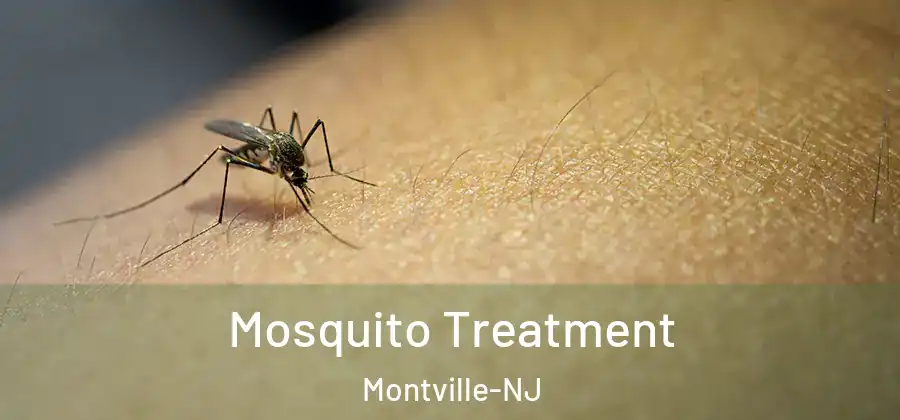 Mosquito Treatment Montville-NJ