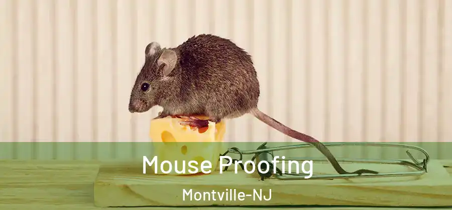 Mouse Proofing Montville-NJ