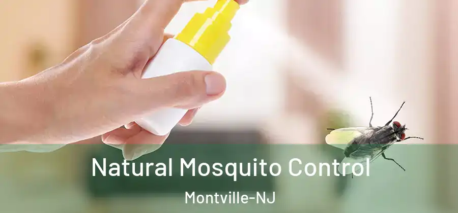  Natural Mosquito Control Montville-NJ