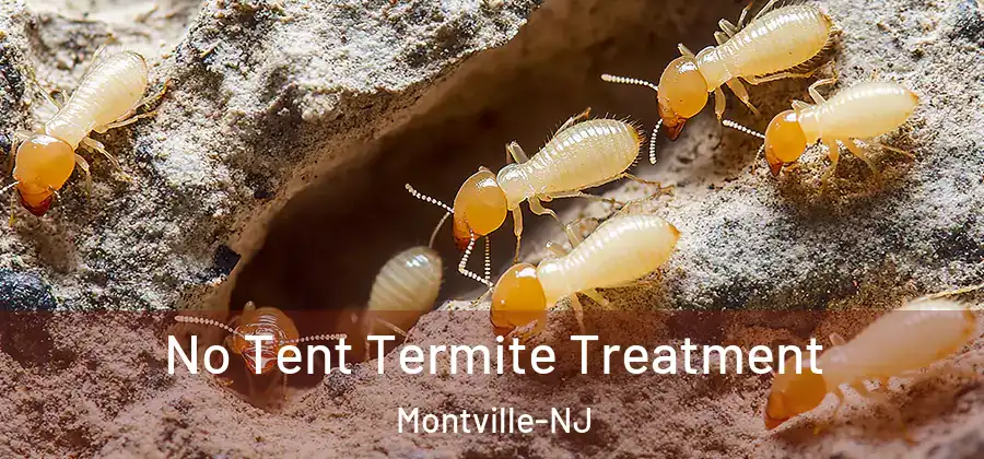  No Tent Termite Treatment Montville-NJ