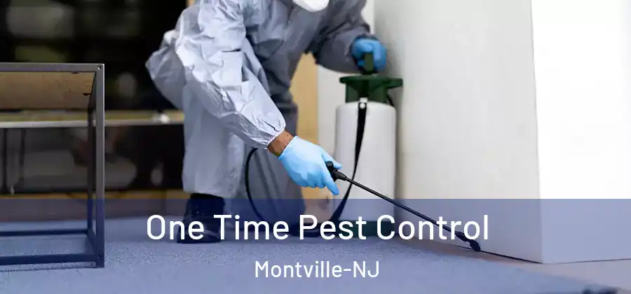  One Time Pest Control Montville-NJ