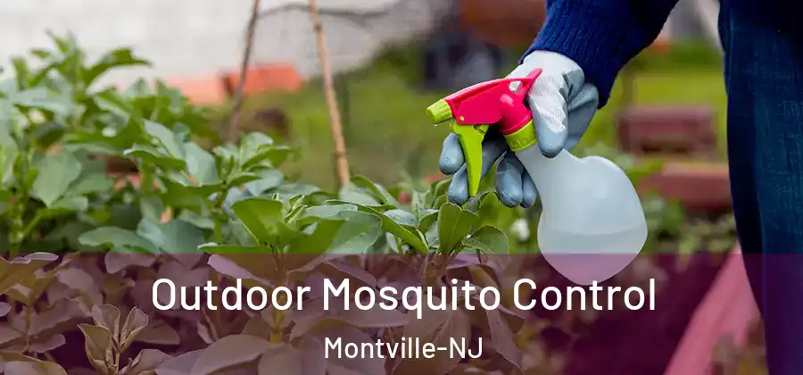  Outdoor Mosquito Control Montville-NJ