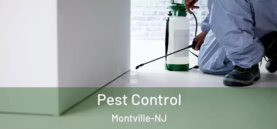 Pest Control Montville-NJ