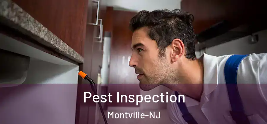 Pest Inspection Montville-NJ