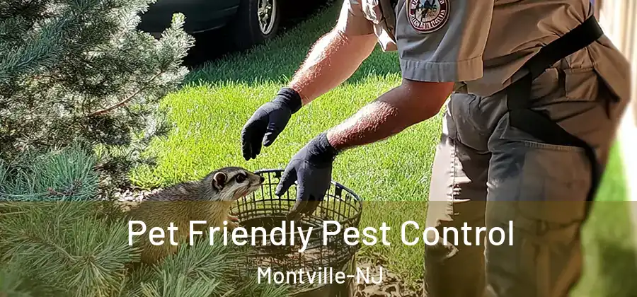 Pet Friendly Pest Control Montville-NJ