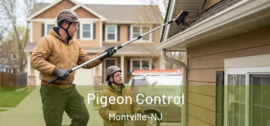 Pigeon Control Montville-NJ