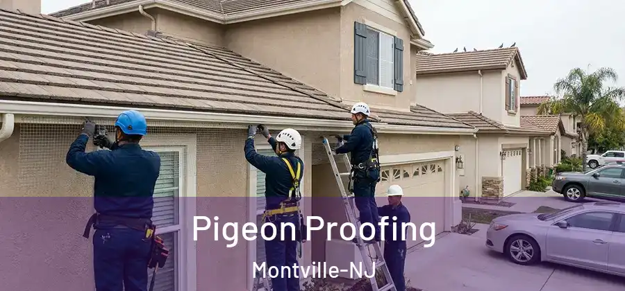 Pigeon Proofing Montville-NJ