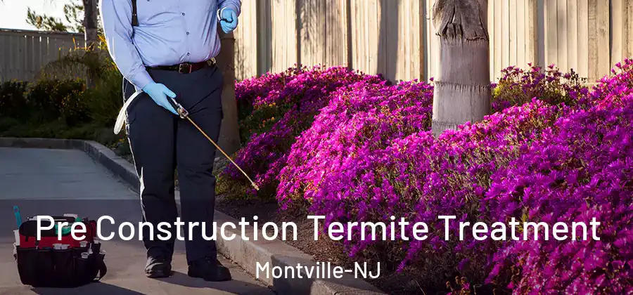 Pre Construction Termite Treatment Montville-NJ