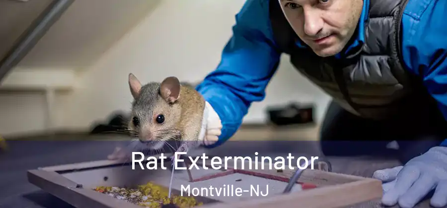  Rat Exterminator Montville-NJ