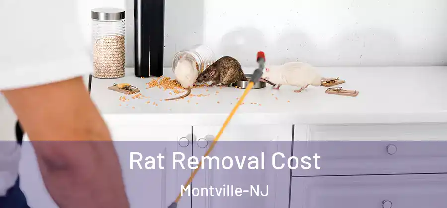 Rat Removal Cost Montville-NJ