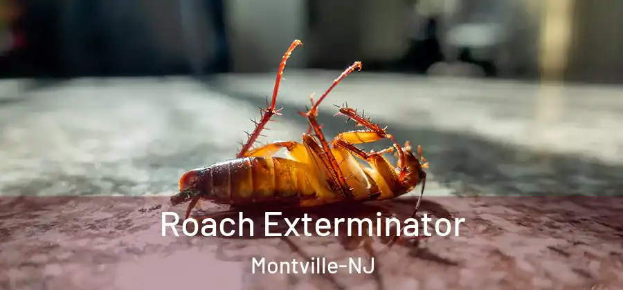 Roach Exterminator Montville-NJ