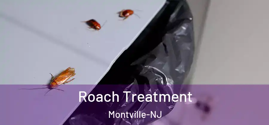 Roach Treatment Montville-NJ