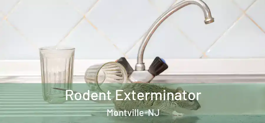 Rodent Exterminator Montville-NJ
