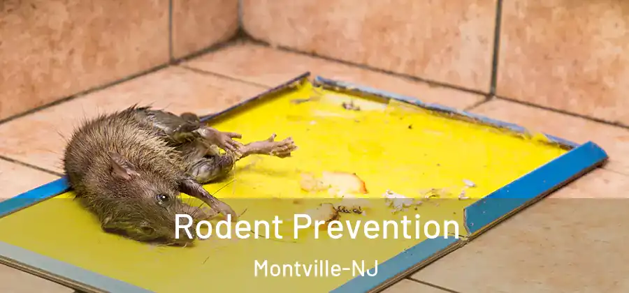 Rodent Prevention Montville-NJ