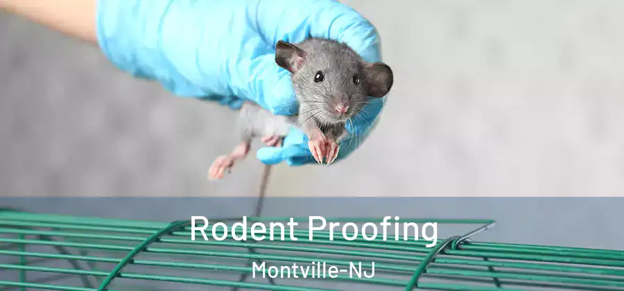 Rodent Proofing Montville-NJ