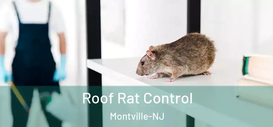 Roof Rat Control Montville-NJ