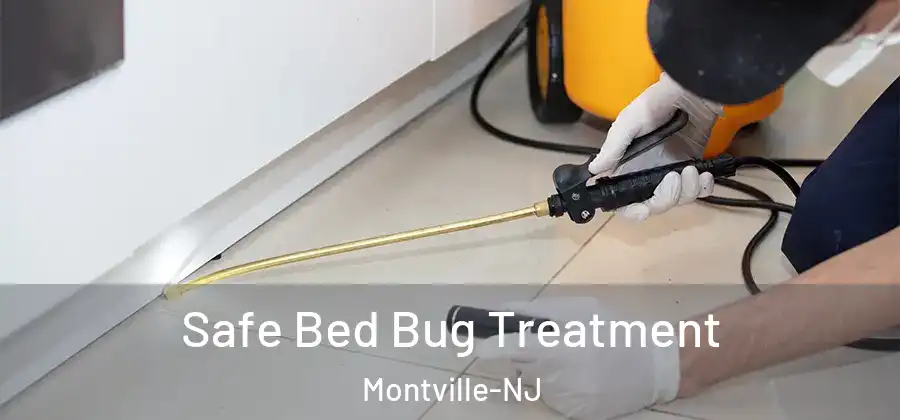 Safe Bed Bug Treatment Montville-NJ
