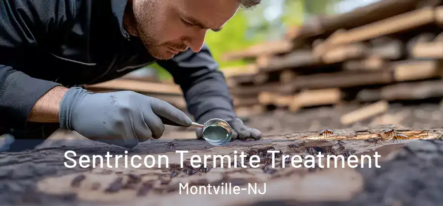  Sentricon Termite Treatment Montville-NJ