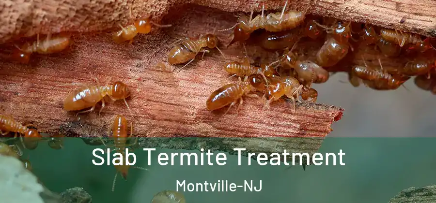  Slab Termite Treatment Montville-NJ
