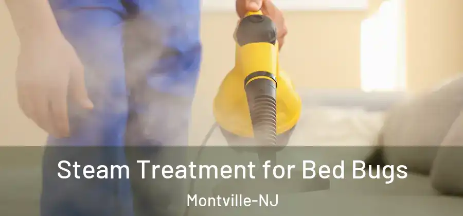  Steam Treatment for Bed Bugs Montville-NJ