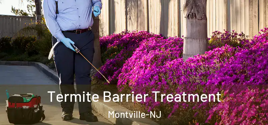 Termite Barrier Treatment Montville-NJ