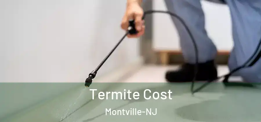  Termite Cost Montville-NJ