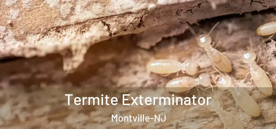  Termite Exterminator Montville-NJ