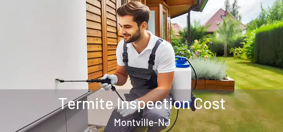 Termite Inspection Cost Montville-NJ