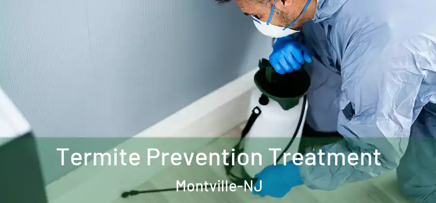  Termite Prevention Treatment Montville-NJ