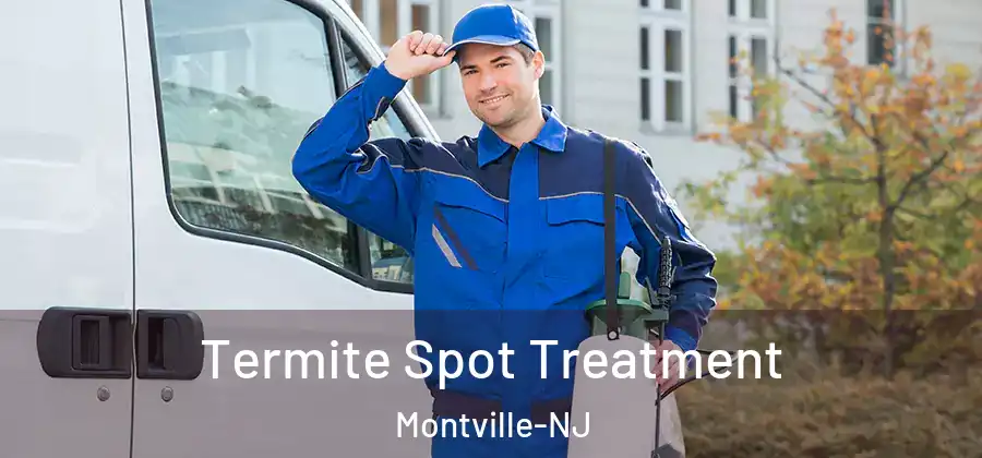 Termite Spot Treatment Montville-NJ
