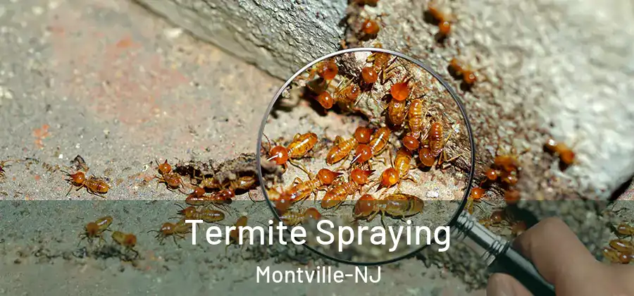 Termite Spraying Montville-NJ
