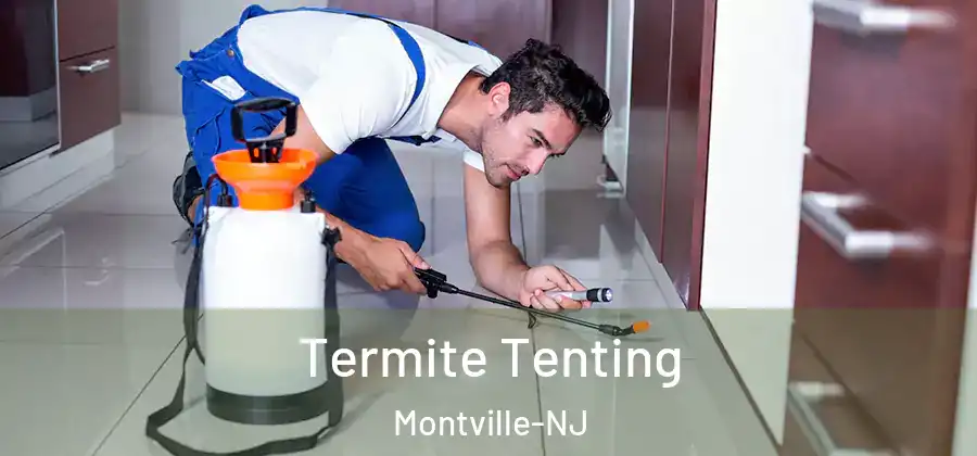  Termite Tenting Montville-NJ