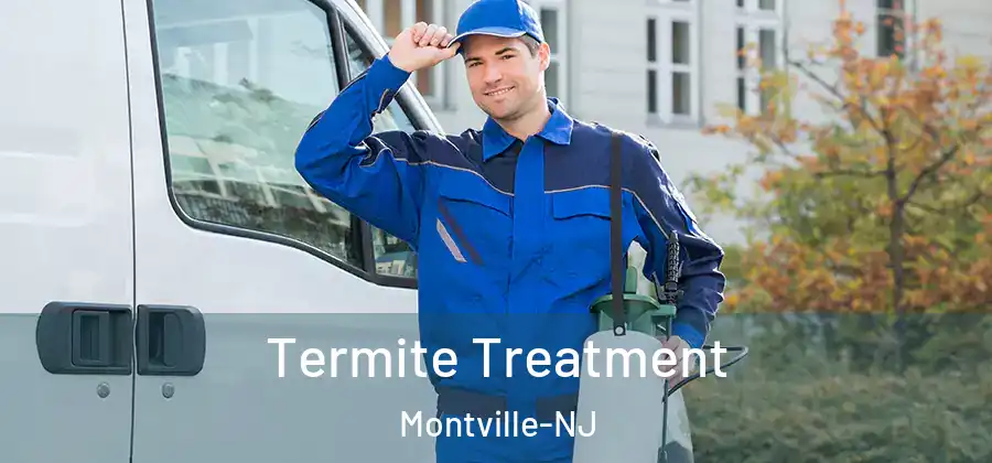 Termite Treatment Montville-NJ