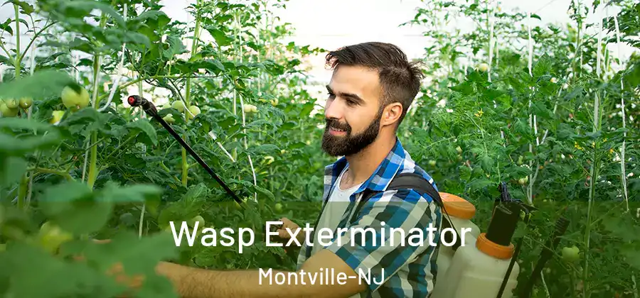 Wasp Exterminator Montville-NJ
