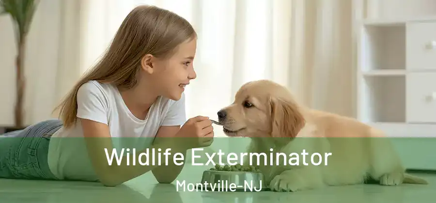 Wildlife Exterminator Montville-NJ