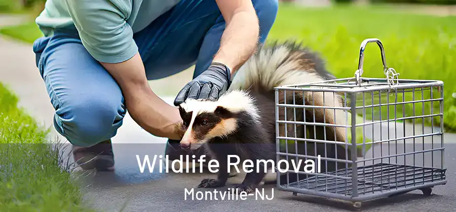 Wildlife Removal Montville-NJ