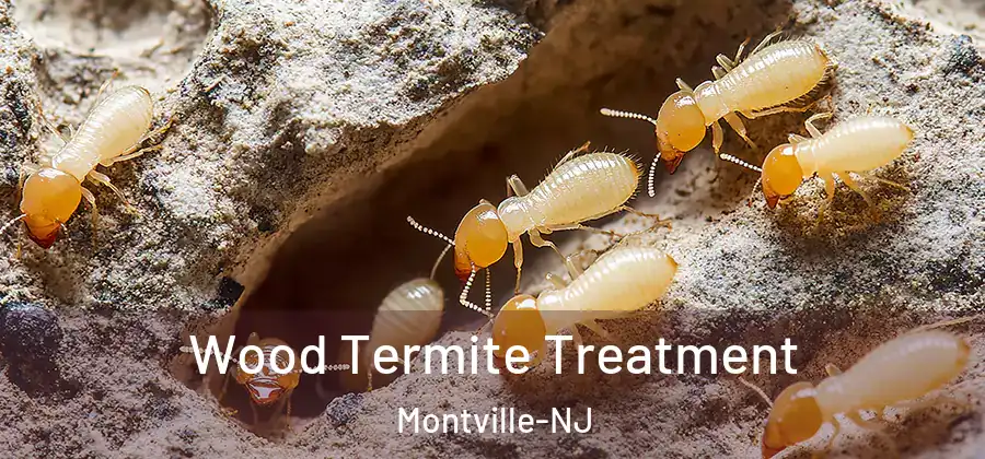  Wood Termite Treatment Montville-NJ